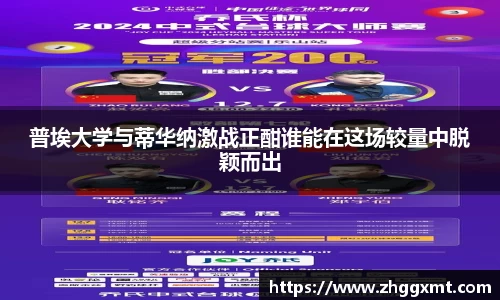 彩神VI首页