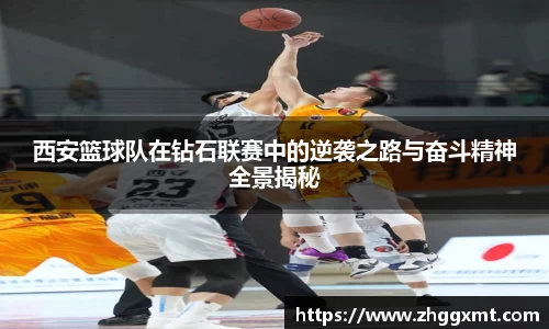 彩神VI官网